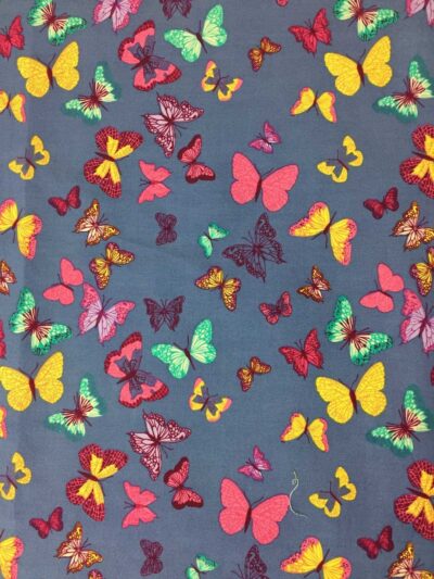 Colourful Butterflies